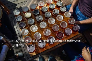 3、全國每個(gè)城市都有自己代表性的啤酒你認(rèn)為哪款啤酒比較好喝？為什么？