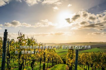 1、你喝的青島啤酒是哪生產(chǎn)的？我的是江西生產(chǎn)的青島，感覺被騙了？