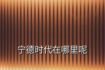 寧德時代在哪里呢