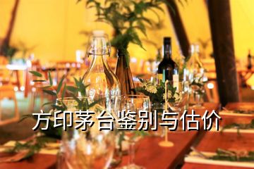 方印茅臺(tái)鑒別與估價(jià)