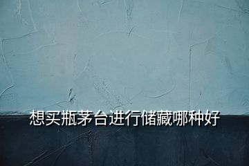 想買瓶茅臺進(jìn)行儲藏哪種好