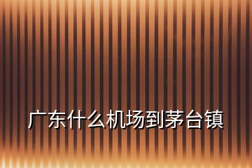 廣東什么機(jī)場到茅臺鎮(zhèn)