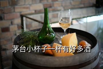 茅臺(tái)小杯子一杯有好多酒