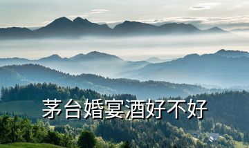 茅臺婚宴酒好不好