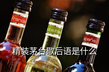 精裝茅臺(tái)歇后語(yǔ)是什么