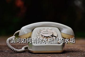 請問如何清除水瓶里的水垢