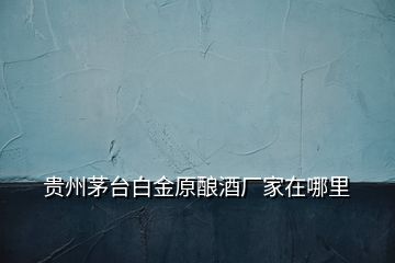 貴州茅臺(tái)白金原釀酒廠家在哪里
