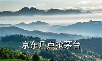 京東幾點(diǎn)搶茅臺(tái)