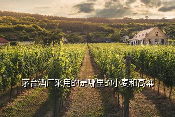 茅臺(tái)酒廠采用的是哪里的小麥和高粱