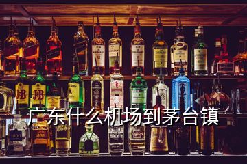 廣東什么機(jī)場(chǎng)到茅臺(tái)鎮(zhèn)