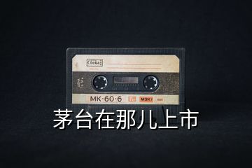 茅臺在那兒上市