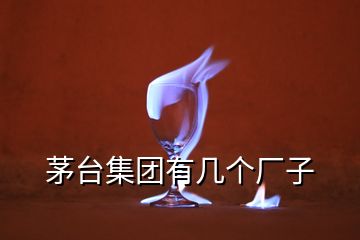 茅臺集團有幾個廠子