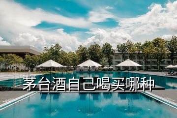 茅臺(tái)酒自己喝買哪種