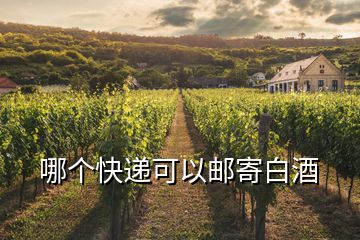 哪個(gè)快遞可以郵寄白酒