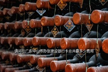 請問在廣東中山市辦張建設銀行卡總共要多少費用