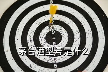 茅臺酒型號是什么