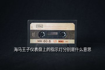 海馬王子儀表盤上的指示燈分別是什么意思