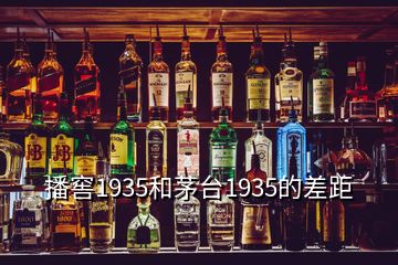 播窖1935和茅臺(tái)1935的差距