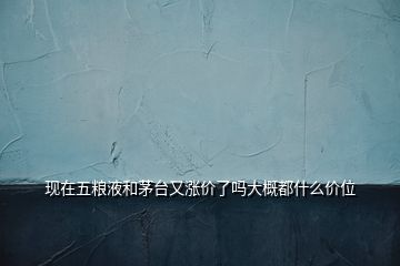 現(xiàn)在五糧液和茅臺(tái)又漲價(jià)了嗎大概都什么價(jià)位