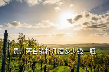 貴州茅臺(tái)鎮(zhèn)樸凡酒多少錢(qián)一瓶