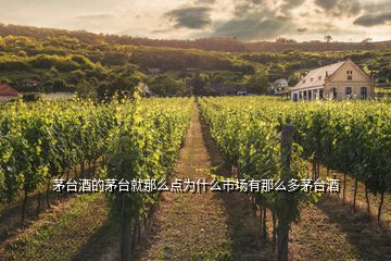 茅臺酒的茅臺就那么點為什么市場有那么多茅臺酒