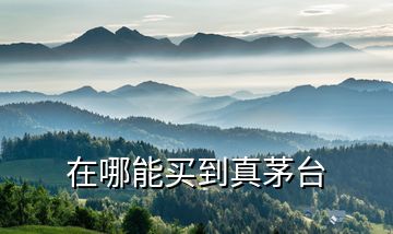 在哪能買(mǎi)到真茅臺(tái)