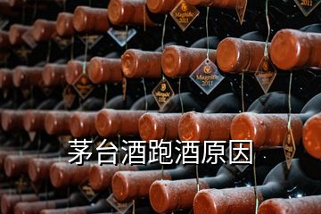 茅臺(tái)酒跑酒原因
