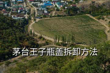 茅臺王子瓶蓋拆卸方法