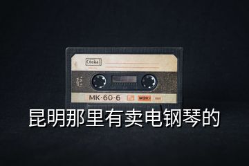 昆明那里有賣(mài)電鋼琴的