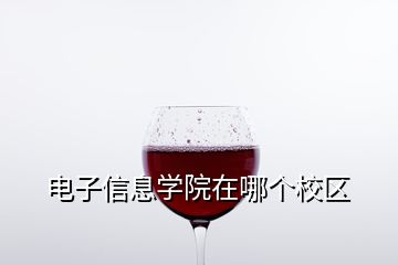 電子信息學(xué)院在哪個校區(qū)