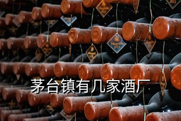 茅臺(tái)鎮(zhèn)有幾家酒廠