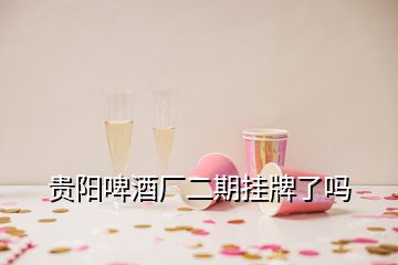 貴陽(yáng)啤酒廠二期掛牌了嗎