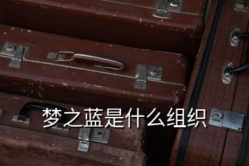 夢(mèng)之藍(lán)是什么組織