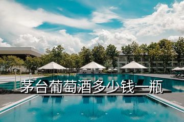 茅臺(tái)葡萄酒多少錢一瓶