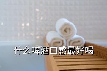 什么啤酒口感最好喝