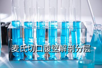 麥氏切口腹壁解剖分層