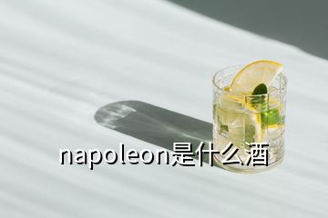 napoleon是什么酒