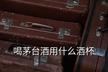 喝茅臺酒用什么酒杯