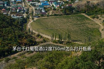 茅臺(tái)干紅葡萄酒12度750ml怎么打開瓶蓋