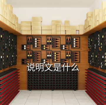 說明文是什么