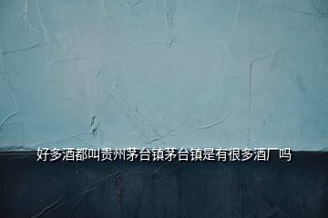 好多酒都叫貴州茅臺鎮(zhèn)茅臺鎮(zhèn)是有很多酒廠嗎