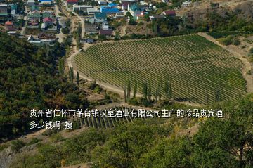 貴州省仁懷市茅臺鎮(zhèn)漢室酒業(yè)有限公司生產的珍品貴賓酒多少錢啊  搜