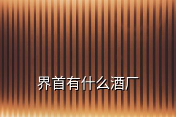 界首有什么酒廠