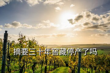摘要三十年窖藏停產了嗎