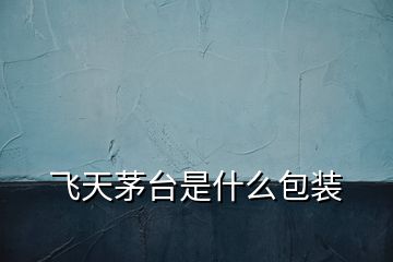 飛天茅臺是什么包裝