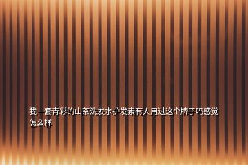 我一套青彩的山茶洗發(fā)水護發(fā)素有人用過這個牌子嗎感覺怎么樣