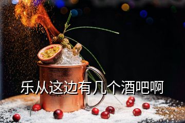 樂(lè)從這邊有幾個(gè)酒吧啊