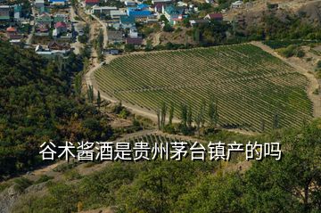 谷術(shù)醬酒是貴州茅臺(tái)鎮(zhèn)產(chǎn)的嗎