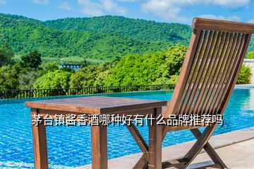 茅臺鎮(zhèn)醬香酒哪種好有什么品牌推薦嗎