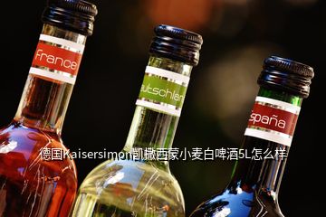 德國Kaisersimon凱撒西蒙小麥白啤酒5L怎么樣